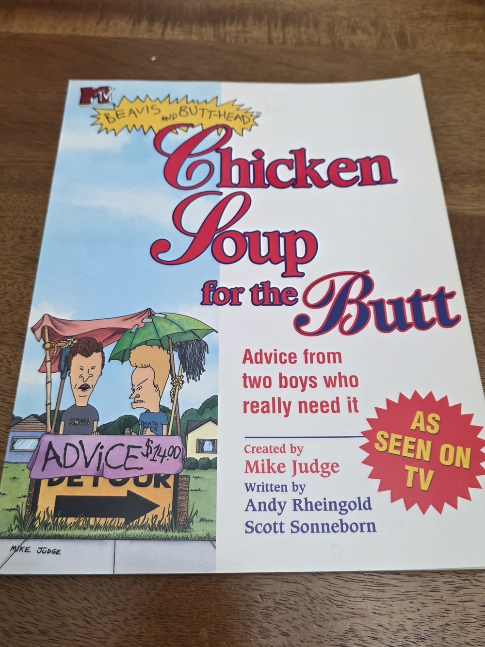 Vintage 1998 Beavis and Butt-Head Chicken Soup for the Butt Paperback Book RARE